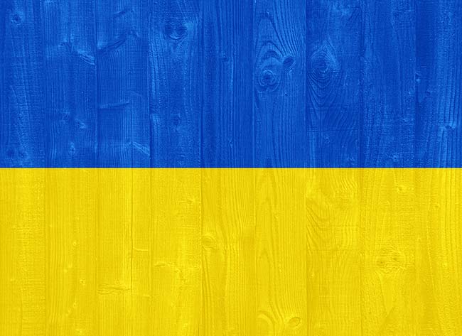 ukraine-flag Flag